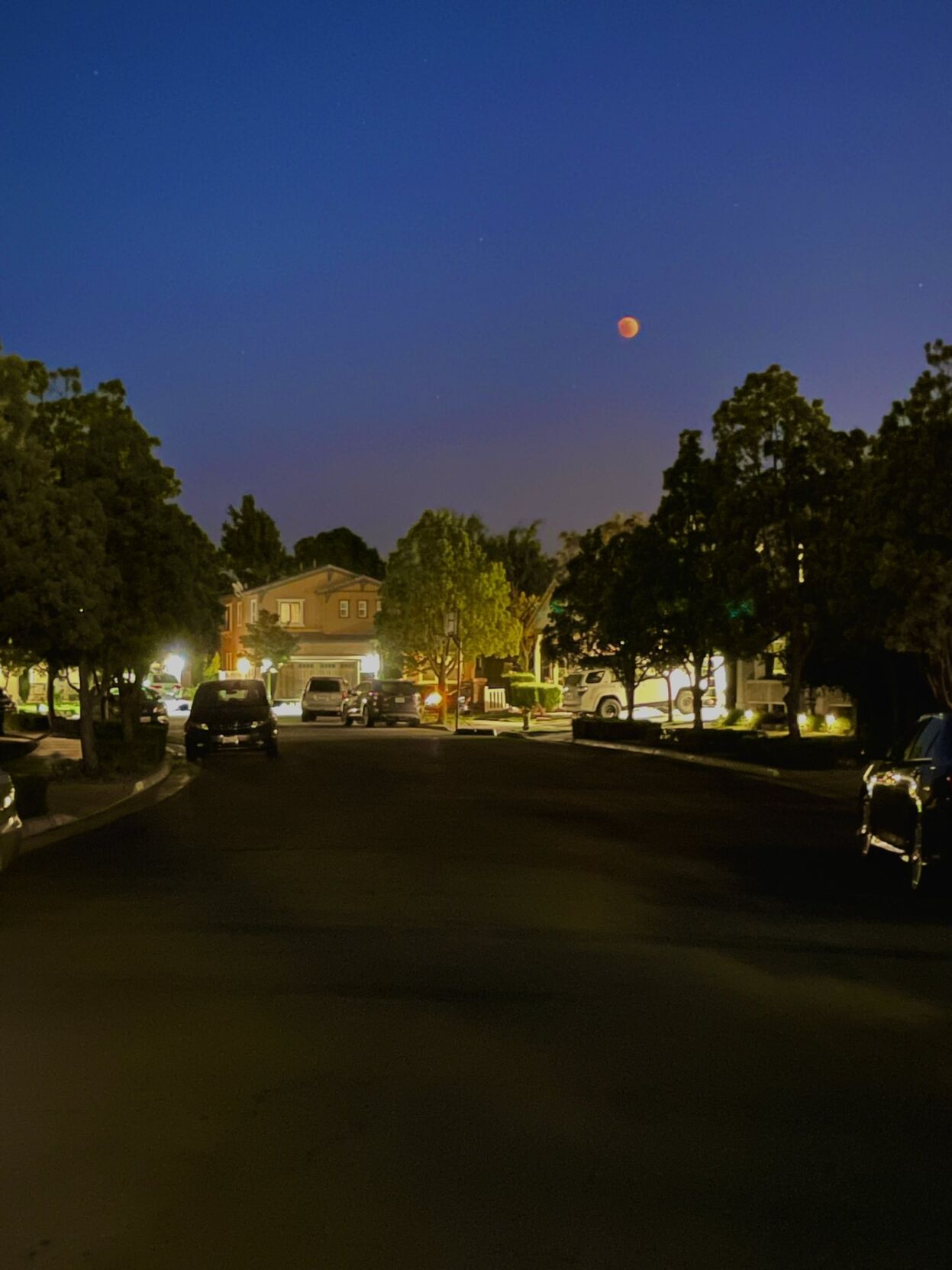Niko photo sub, blood moon